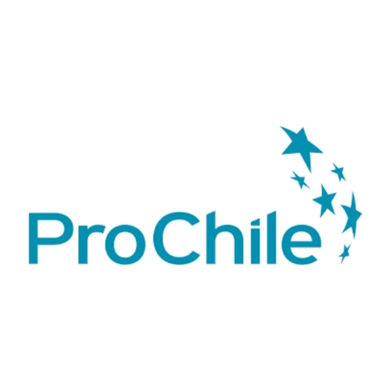 Client Logo 31